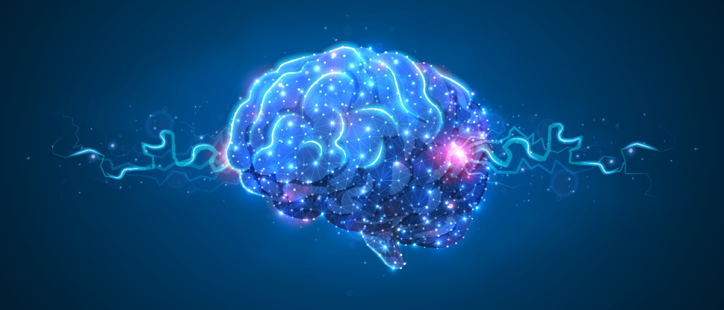 Human Brain Imaging