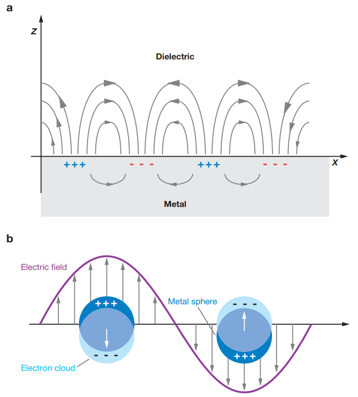 Schematic diagrams illustrating (a) a SPR and (b) a LSPR