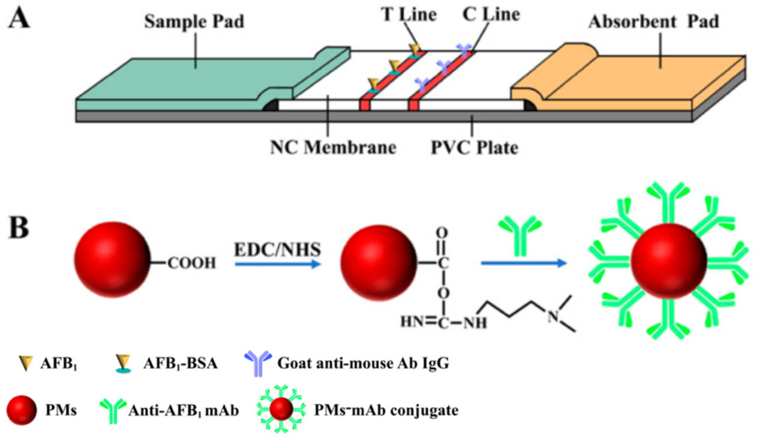 PMs-ICA for sensitive and quantitative detection of AFB1 in corn