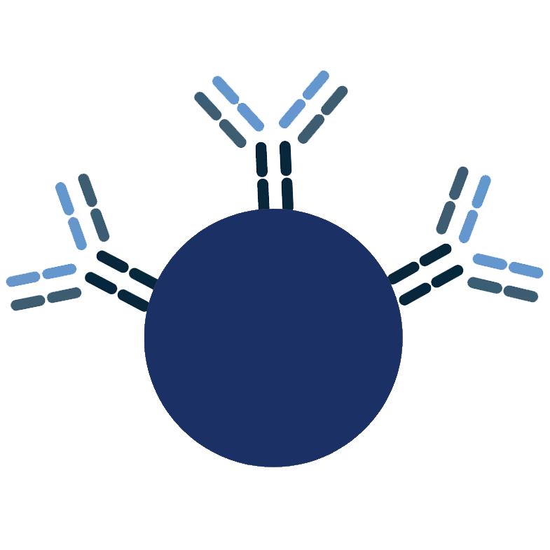 Custom Upconverting Nanoparticle Conjugationn