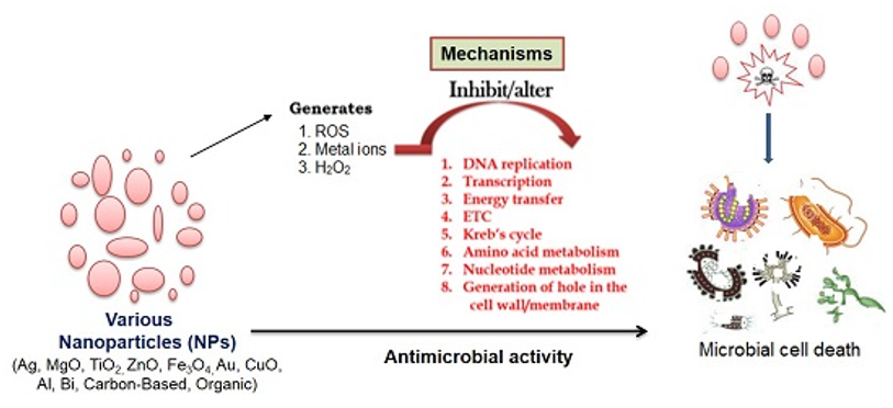Antibacterial activity and antibiotic-modifying action of