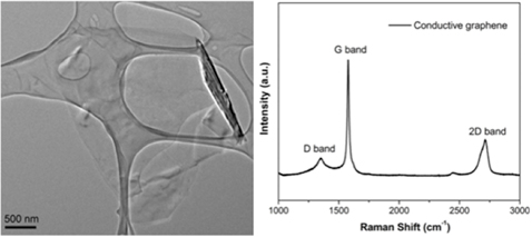 Carbon Nanomaterials Cd Bioparticles