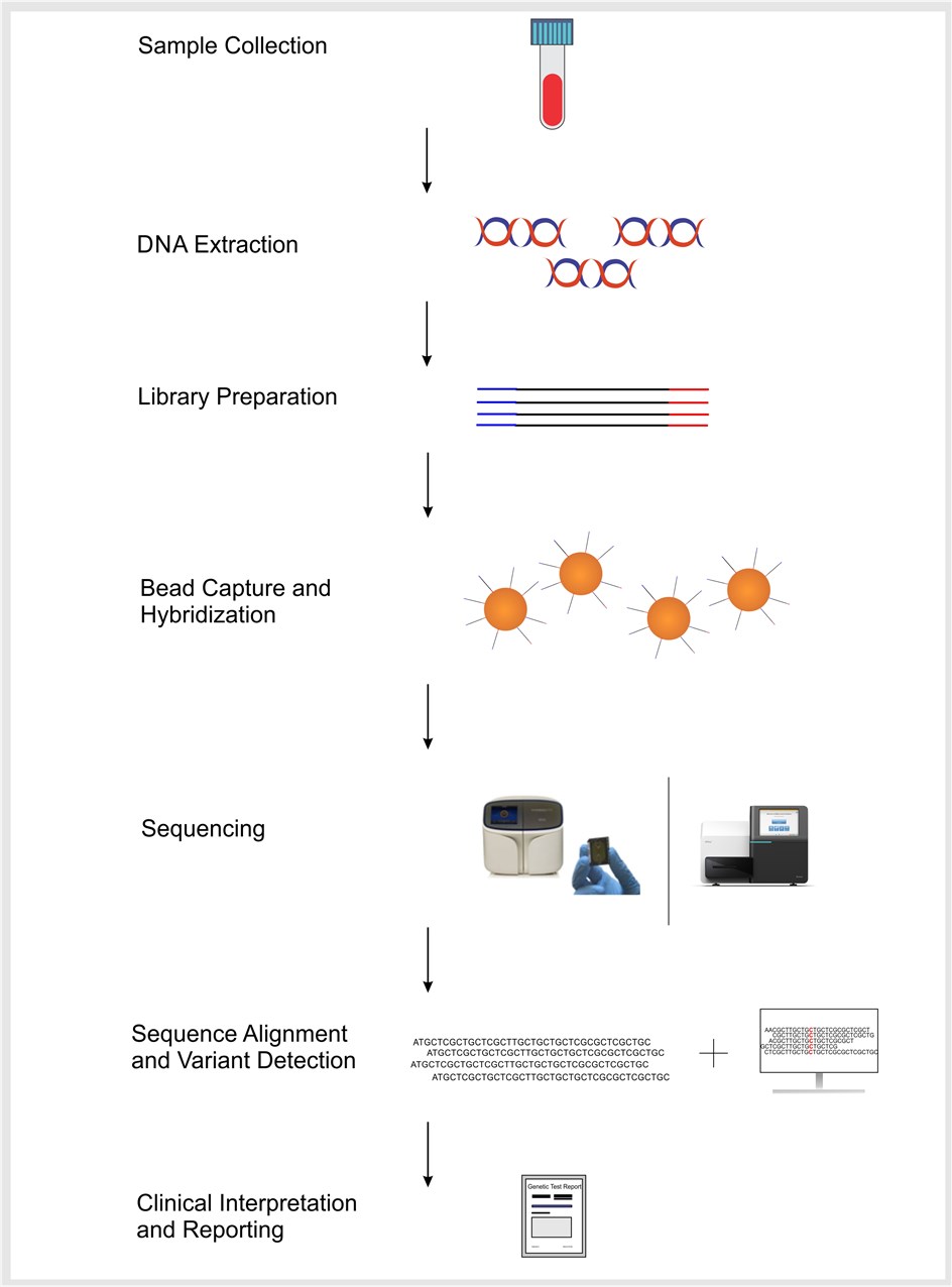 Particles for Nextgeneration Sequencing (NGS) CD Bioparticles