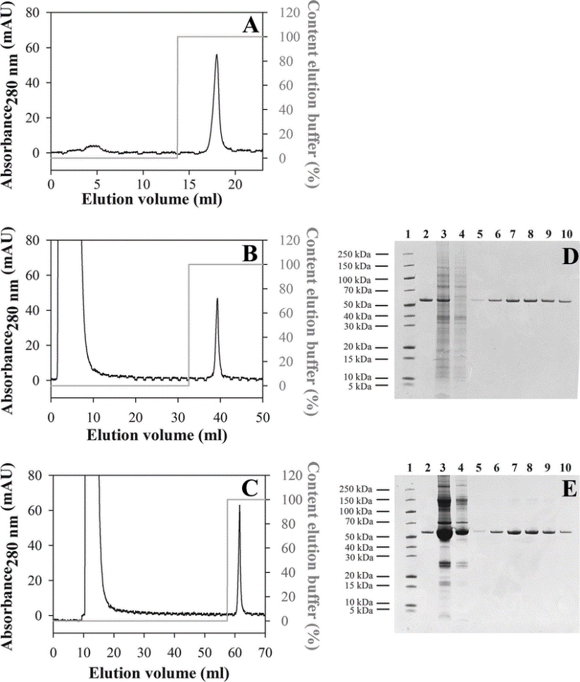 Affinity Chromatography Resins CD Bioparticles