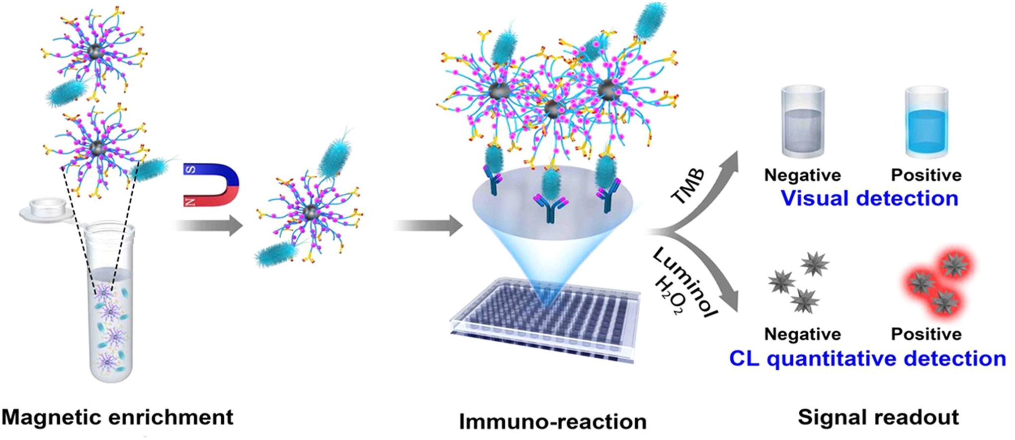 reduce Wetland fotografie poly d lysine coating Serie de timp Ghinion