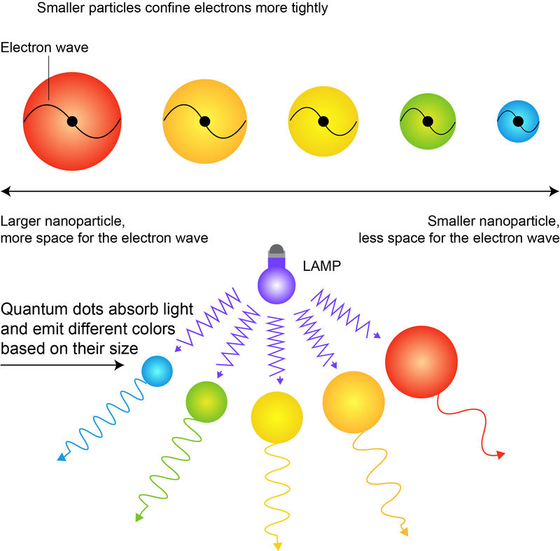 Quantum Dot Applications in Bioimaging & Displays - CD Bioparticles