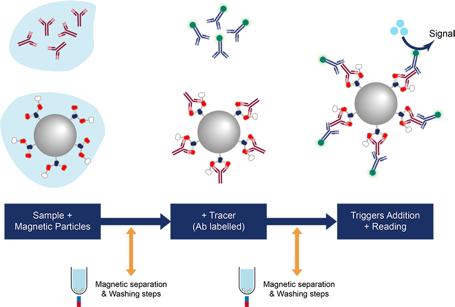 Beads for Chemiluminescence Immunoassay CD Bioparticles